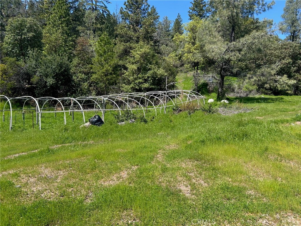 14607 Western Mine Road Middletown, CA 95461 - Photo 41 of 48