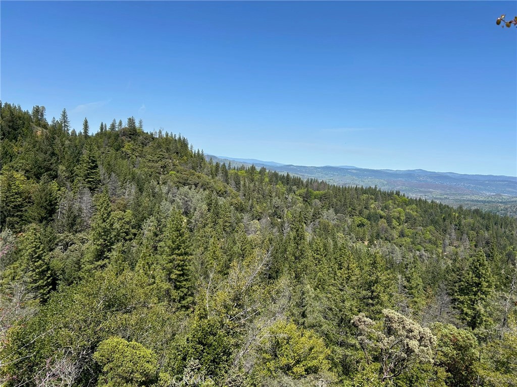 14607 Western Mine Road Middletown, CA 95461 - Photo 47 of 48