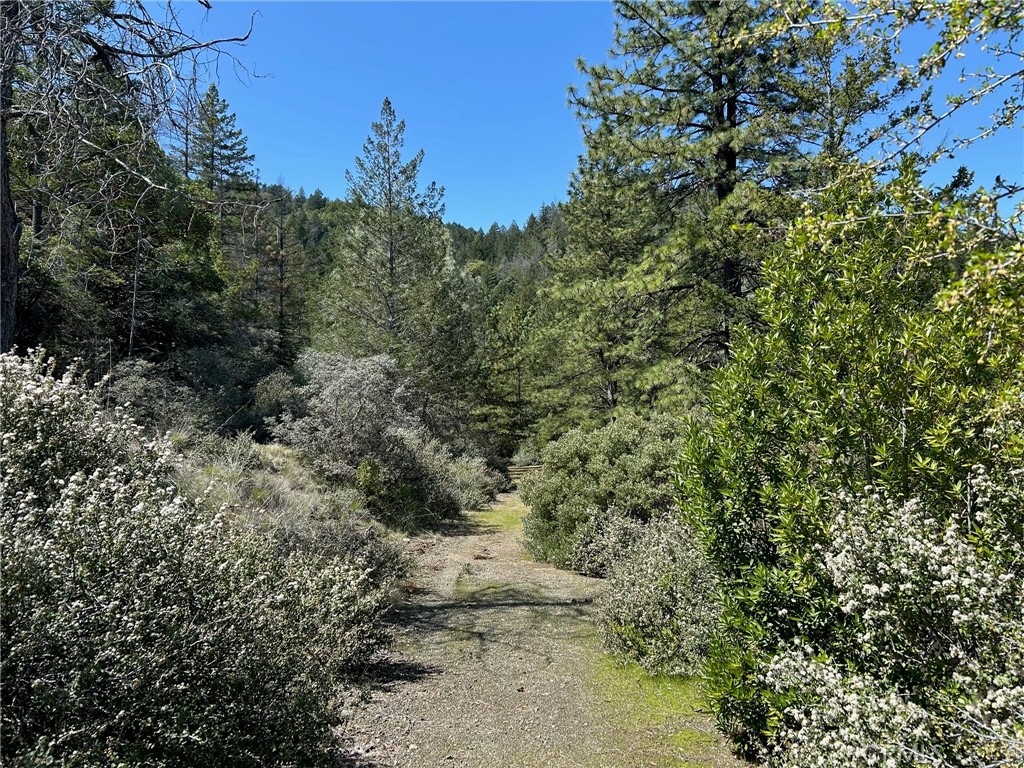 14607 Western Mine Road Middletown, CA 95461 - Photo 6 of 48