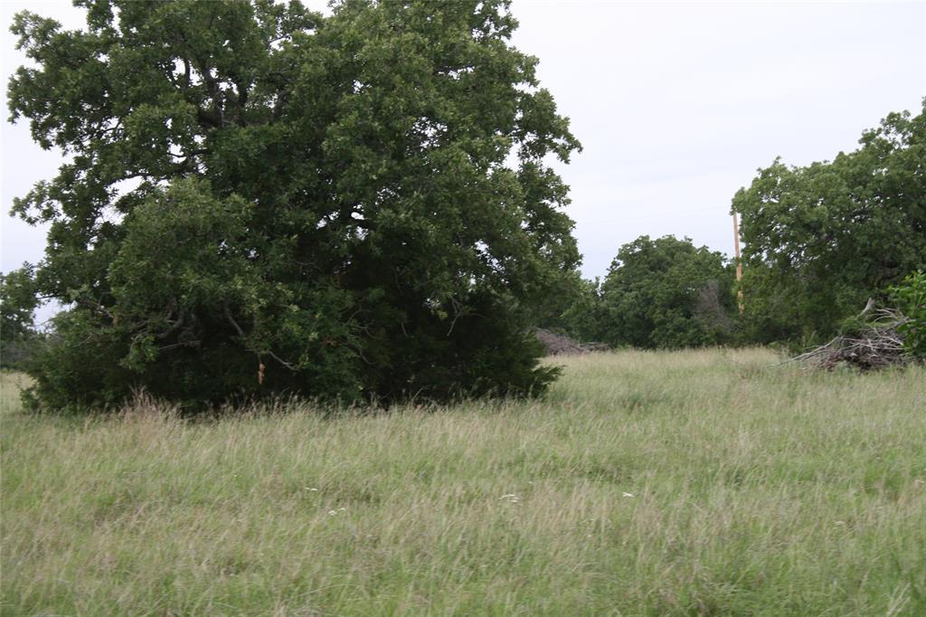 2701 Live Oak Road Santo, TX 76472 - Photo 15 of 39 Pasture