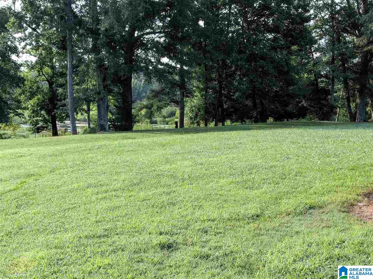 881 Douglas Lane Oneonta, AL 35121 - Photo 10 of 27