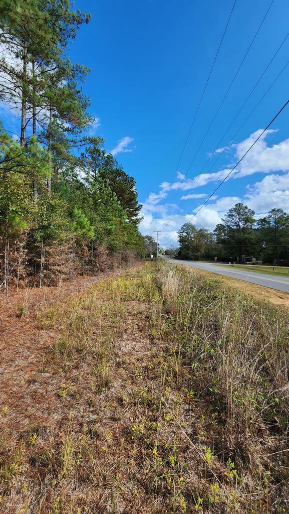 3-acres Lucy Grade Road Ashford, AL 36312 - Photo 16 of 18