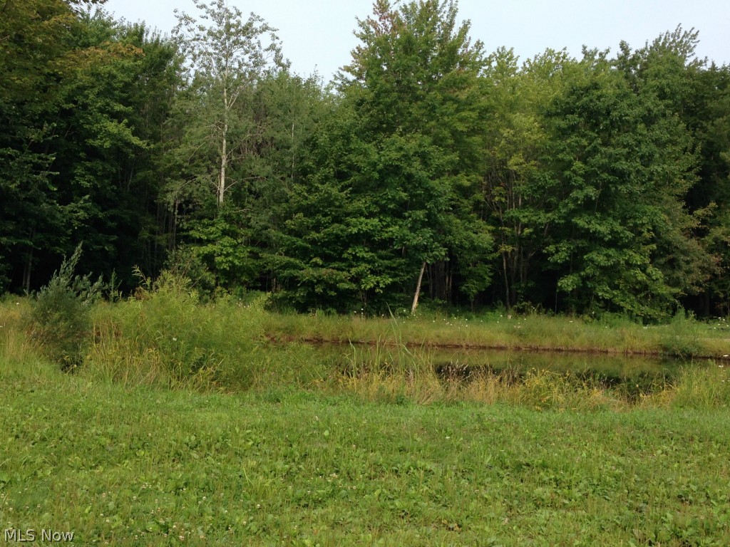 6483 Graham Road Pierpont, OH 44082 - Photo 2 of 18 Gallery Image 2