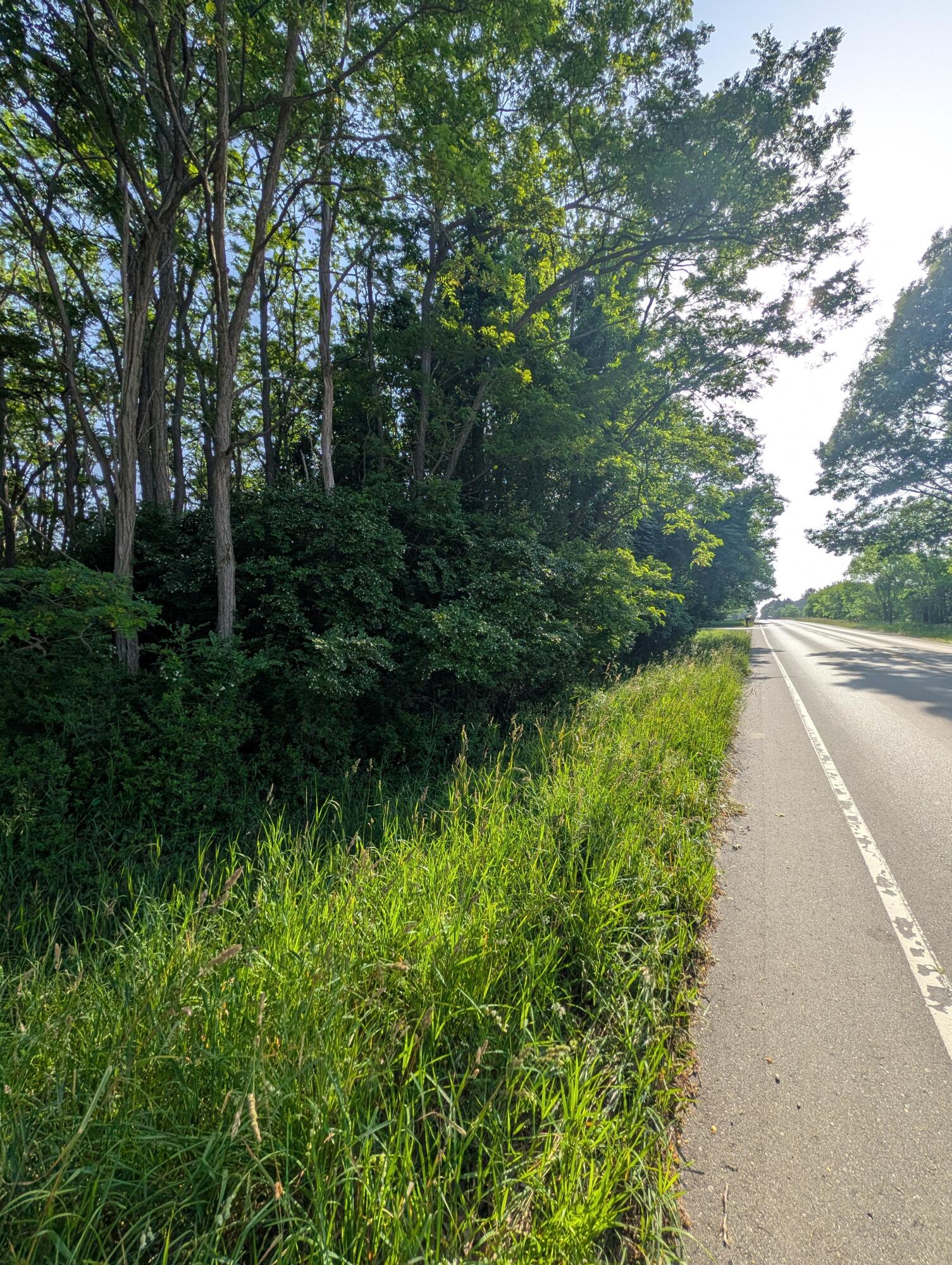 Merkey Road, Unit 6 Manistee, MI 49660 - Photo 5 of 7 PXL_20260630_224033997
