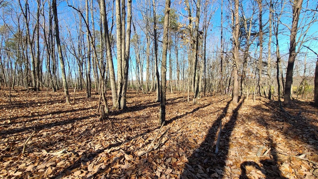 2 Rocky Mount Road Dillwyn, VA 23936 - Photo 14 of 19 Gallery Image 14