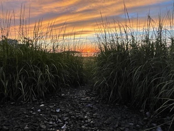 212 Nantasket Road Hull, MA 02045 - Photo 31 of 36 a view of a yard
