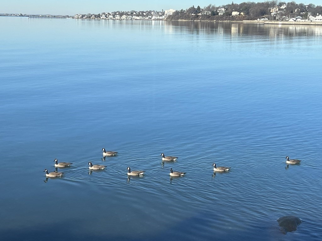 212 Nantasket Road Hull, MA 02045 - Photo 5 of 36 a view of a water with an ocean view