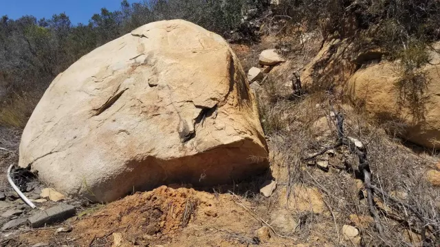a view of outdoor space and yard