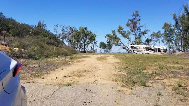 a view of a yard with swimming pool and trees