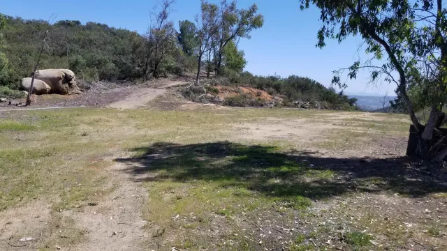 a view of a backyard with green space