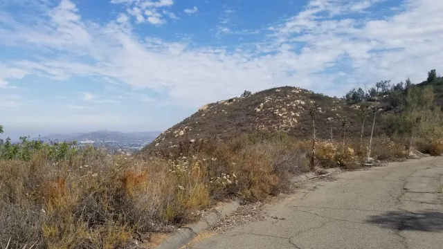 a view of a yard with a snow in the background