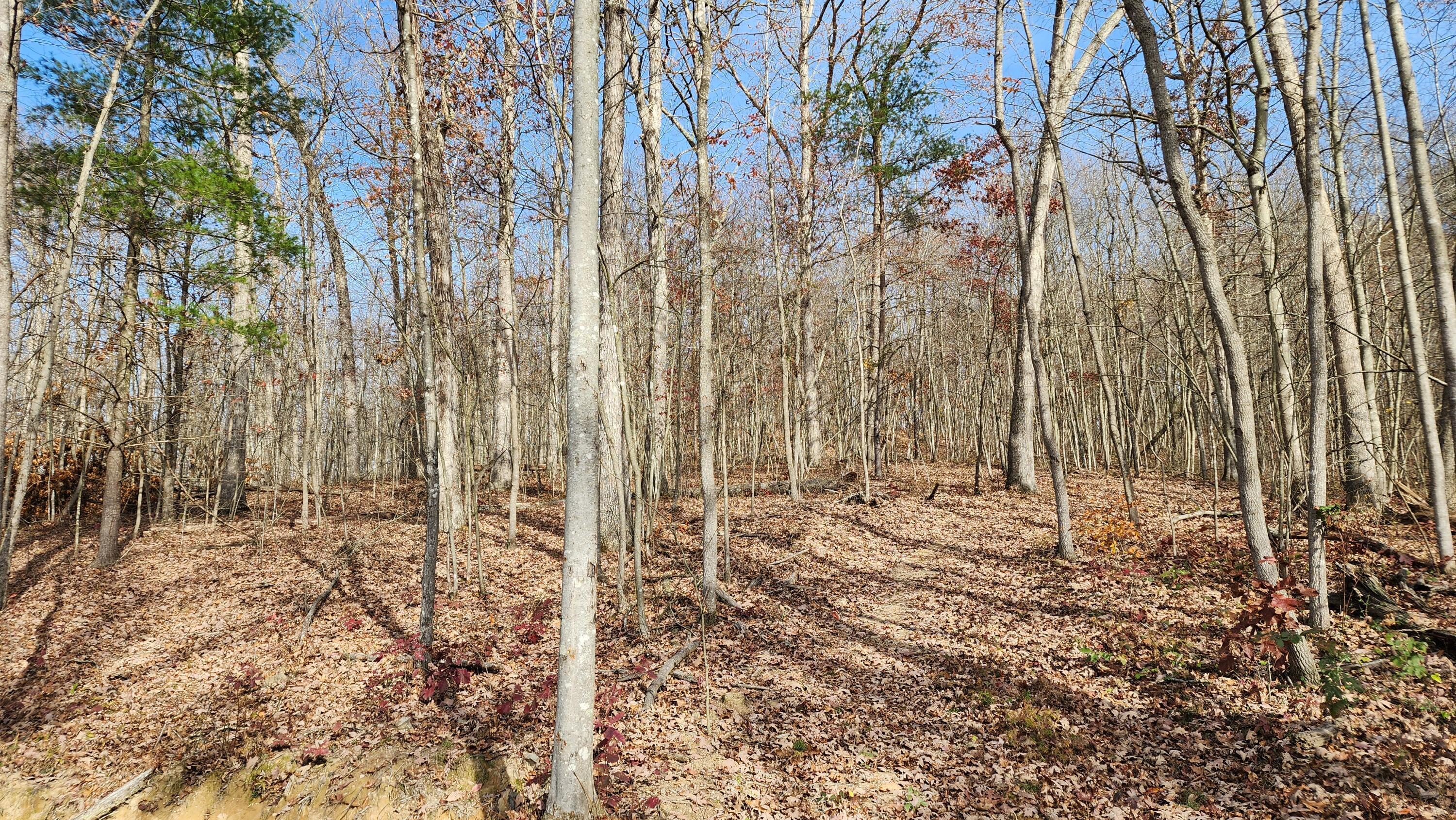 0 Jisco Road, Unit TRACT B) Jackson, OH 45640 - Photo 31 of 43 31