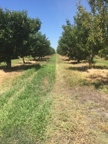 a view of balcony with ocean view