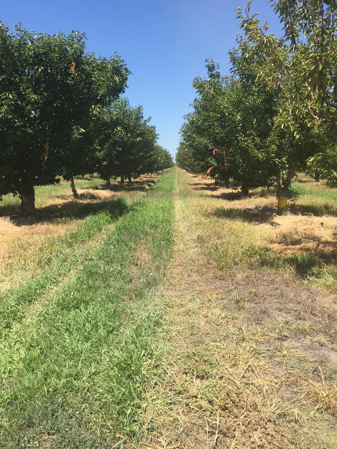 1099 Lemon Avenue Patterson, CA 95363 - Photo 11 of 17 a view of lake view