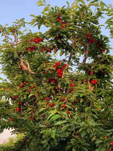 a view of a street with a bench