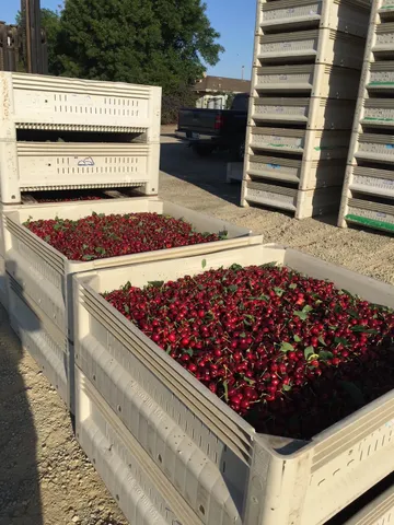 a view of ocean view