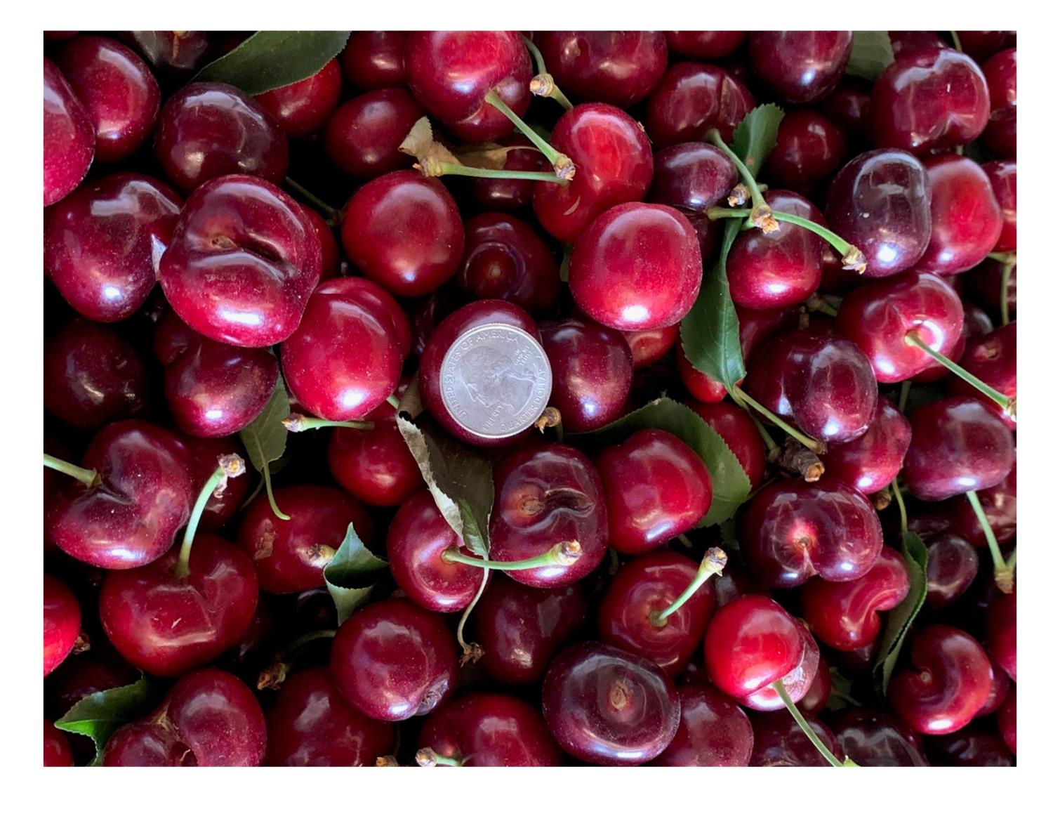 1099 Lemon Avenue Patterson, CA 95363 - Photo 9 of 17 a view of a room