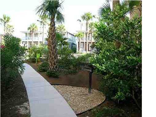 M-3 M-3 Beach Seacrest, FL 32461 - Photo 3 of 8 a view of a garden