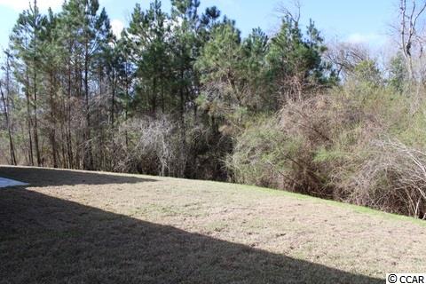 260 Dempsey Drive Loris, SC 29569 - Photo 8 of 25 Gallery Image 8