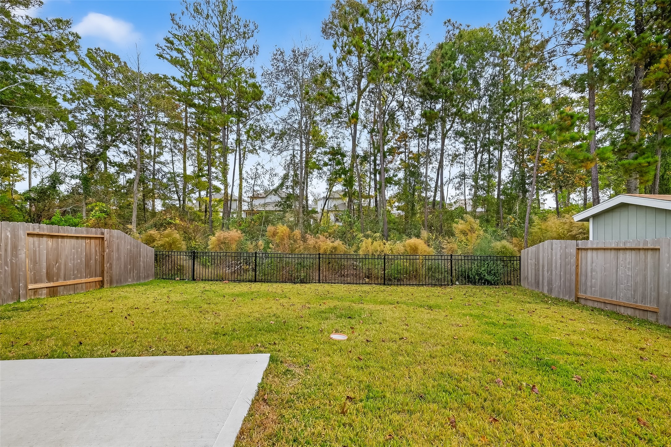 79 Courageous Way Magnolia, TX 77355 - Photo 21 of 23 a view of a yard with a trees
