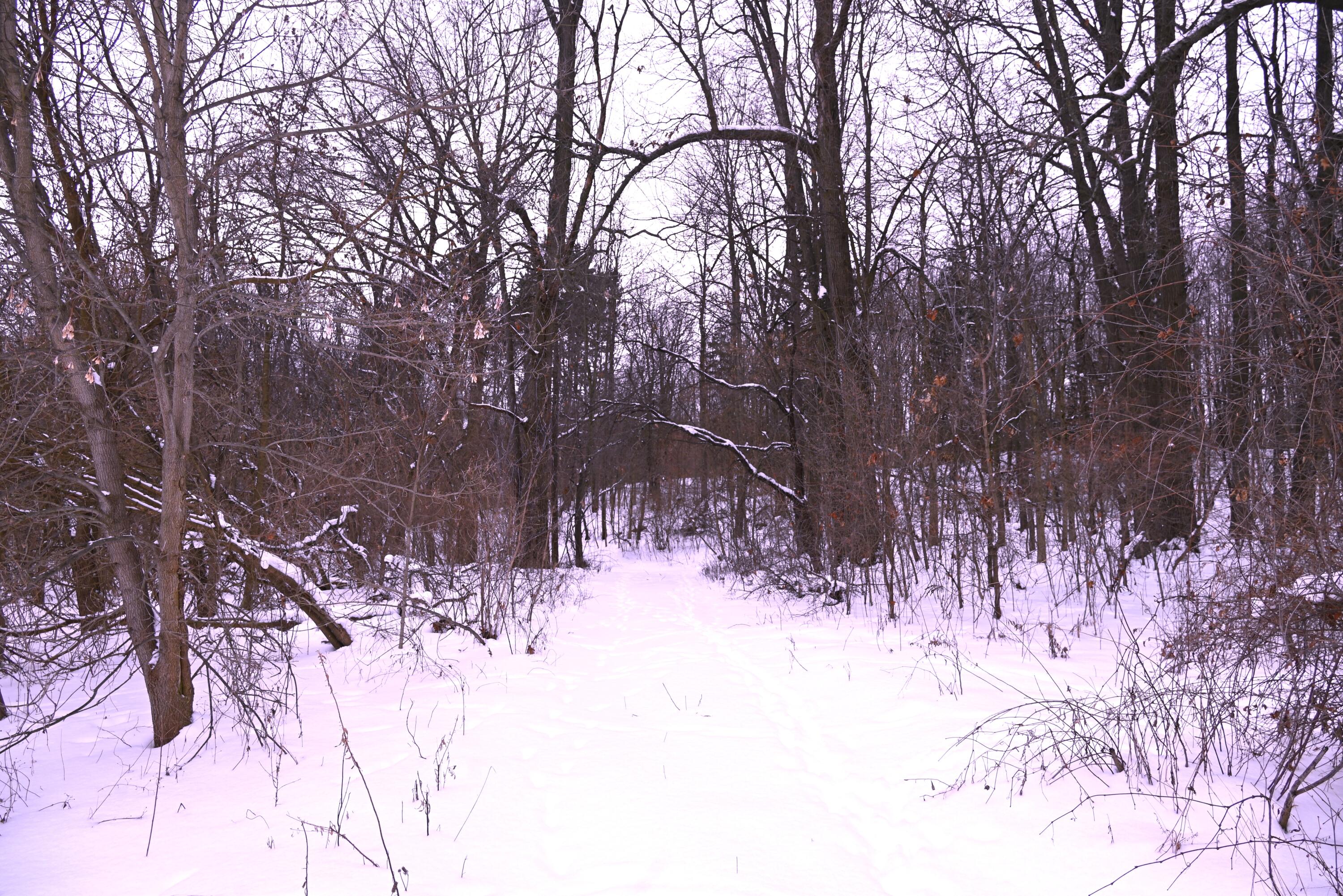 0 East Howe Road Dewitt, MI 48820 - Photo 20 of 23 DSC_1034