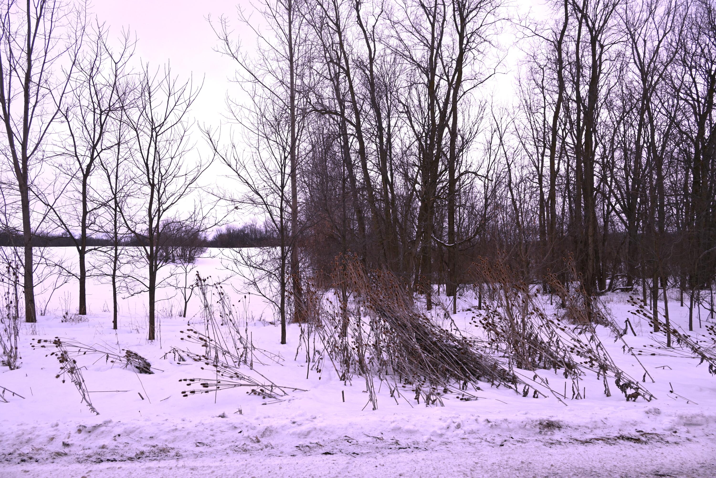 0 East Howe Road Dewitt, MI 48820 - Photo 21 of 23 DSC_1038