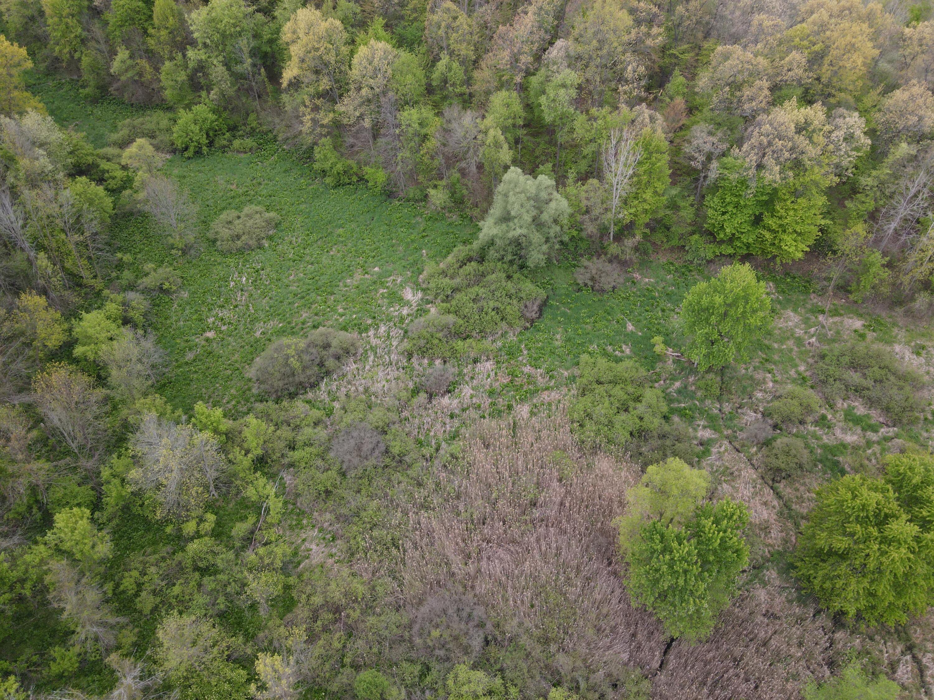 0 East Howe Road Dewitt, MI 48820 - Photo 43 of 54 DJI_0621