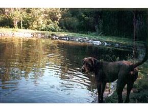 82 Smith Road Bedford, NH 03110 - Photo 3 of 4 Gallery Image 3