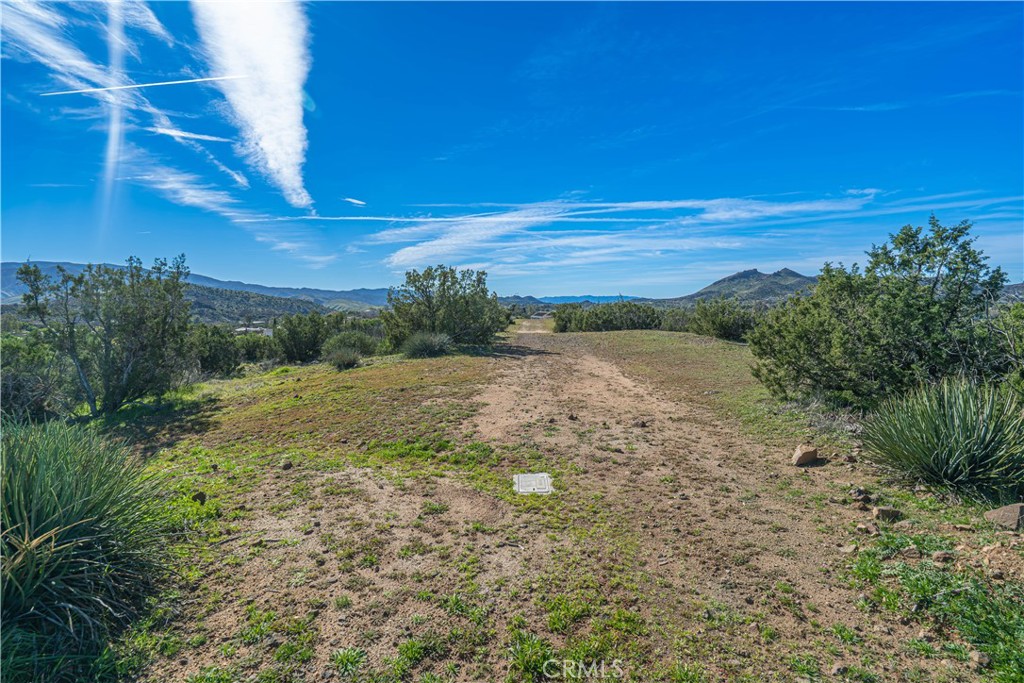 10540 Darling Road Agua Dulce, CA 91390 - Photo 52 of 56