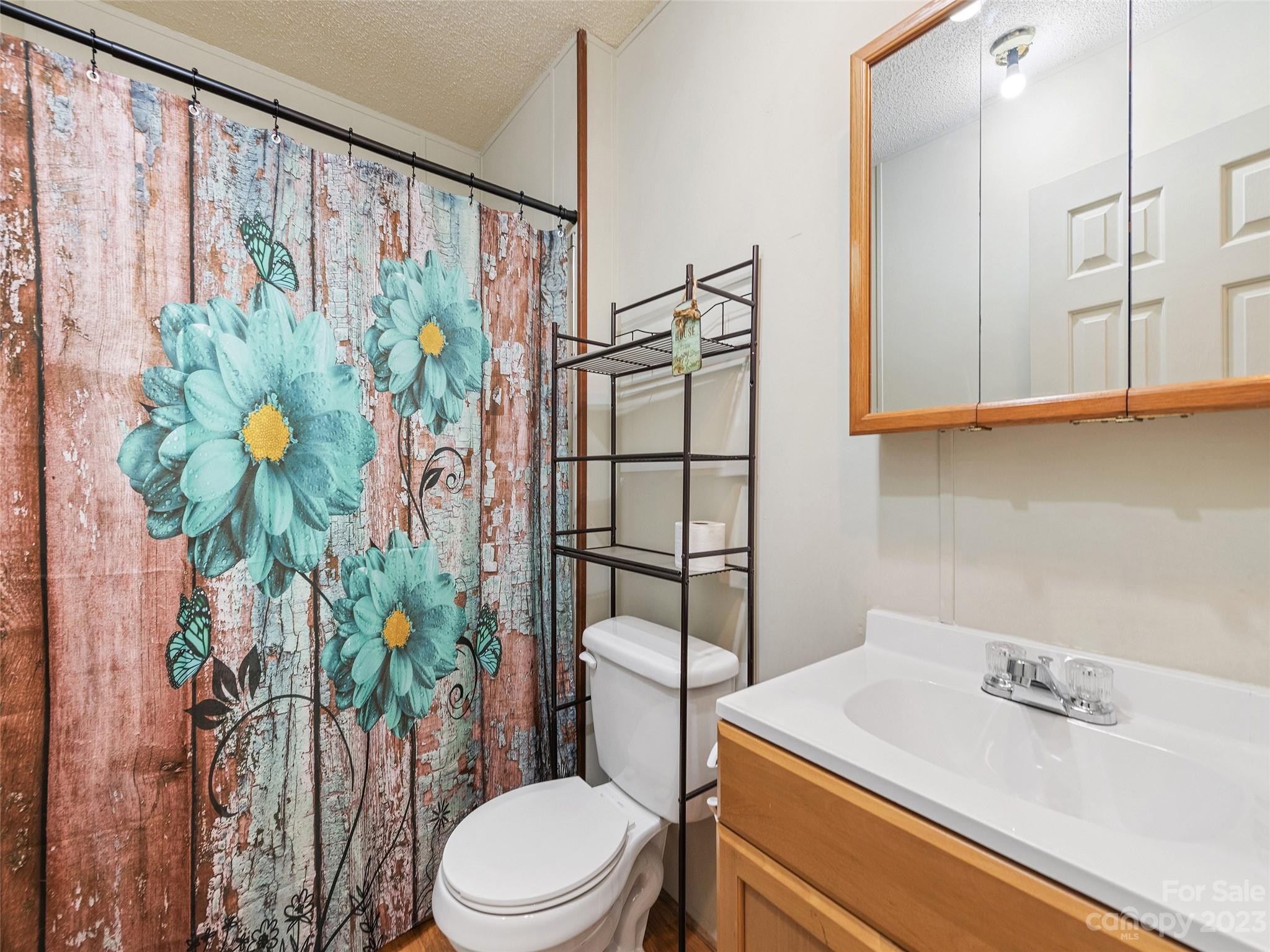 38 Happy Acres Road Waynesville, NC 28785 - Photo 25 of 28 a bathroom with a toilet sink and mirror