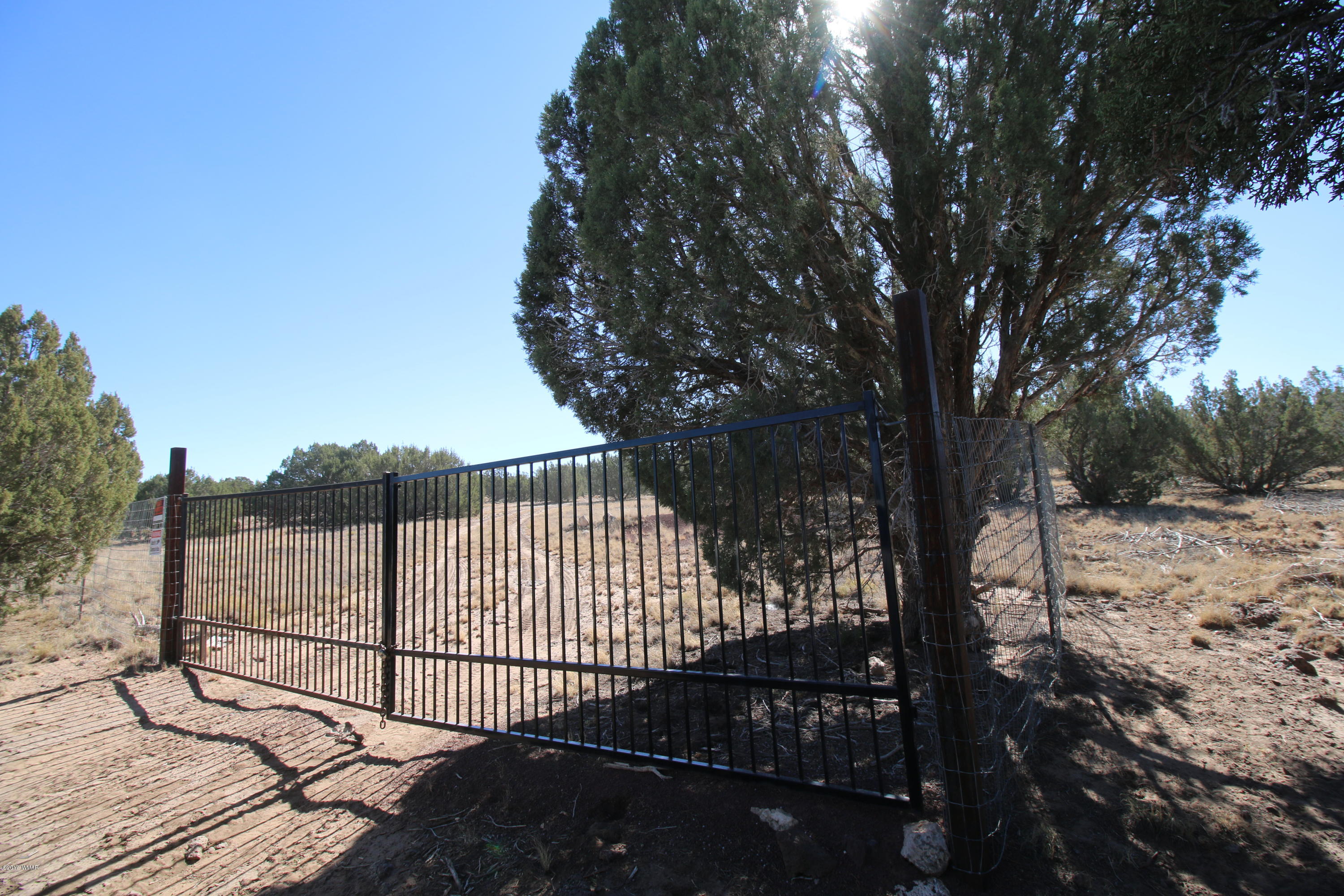 Tbd Tbd Deleware Concho, AZ 85924 - Photo 1 of 4