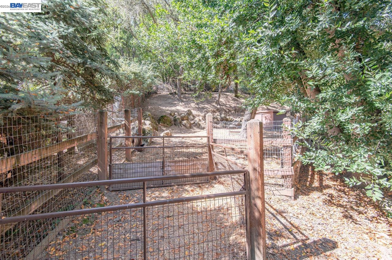 35575 Palomares Road Castro Valley, CA 94552 - Photo 63 of 85 Gallery Image 63