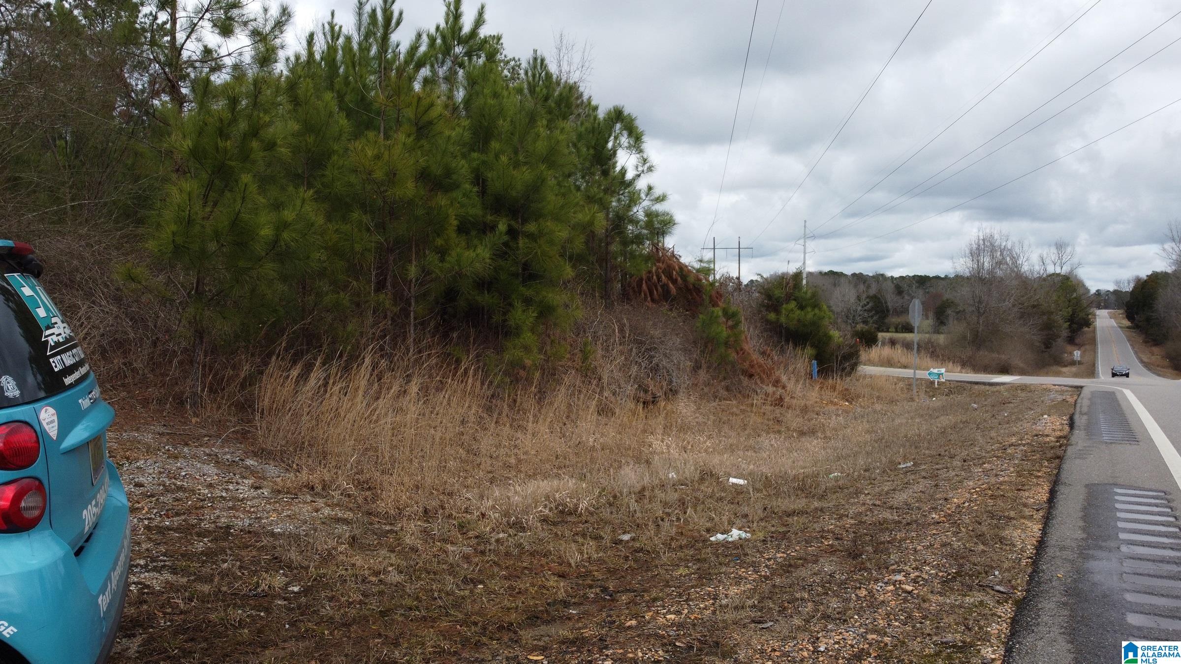 0 County Road 511, Unit 1 Verbena, AL 36091 - Photo 3 of 10