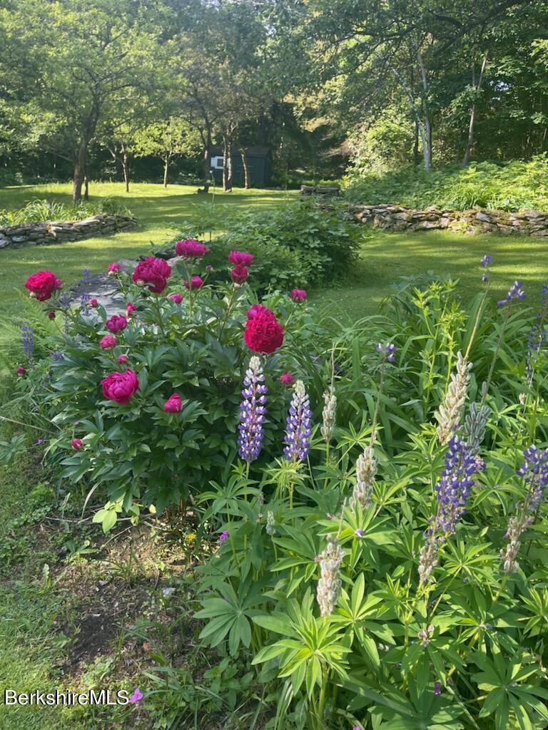1172 Bluestone Road Bennington, VT 05201 - Photo 47 of 52 a view of a garden with flowers and trees