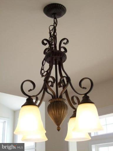 2501 Bollinger Mill Road Finksburg, MD 21048 - Photo 13 of 30 Upgraded Light Fixtures