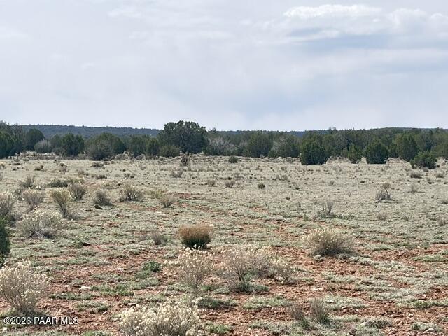 595 Ravens Rest Seligman, AZ 86337 - Photo 13 of 22 a view of beach and ocean