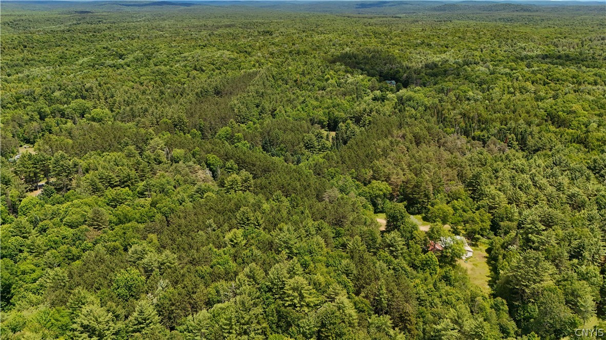 Bellingertown Road Forestport, NY 13338 - Photo 11 of 12