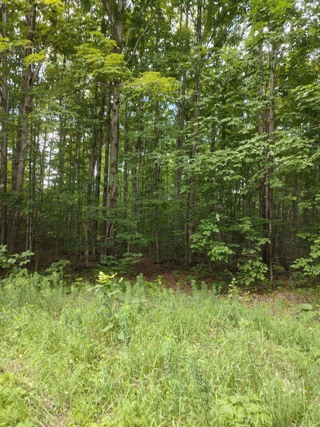 0 Pratt Road Lake Ann, MI 49650 - Photo 10 of 11 Gallery Image 10