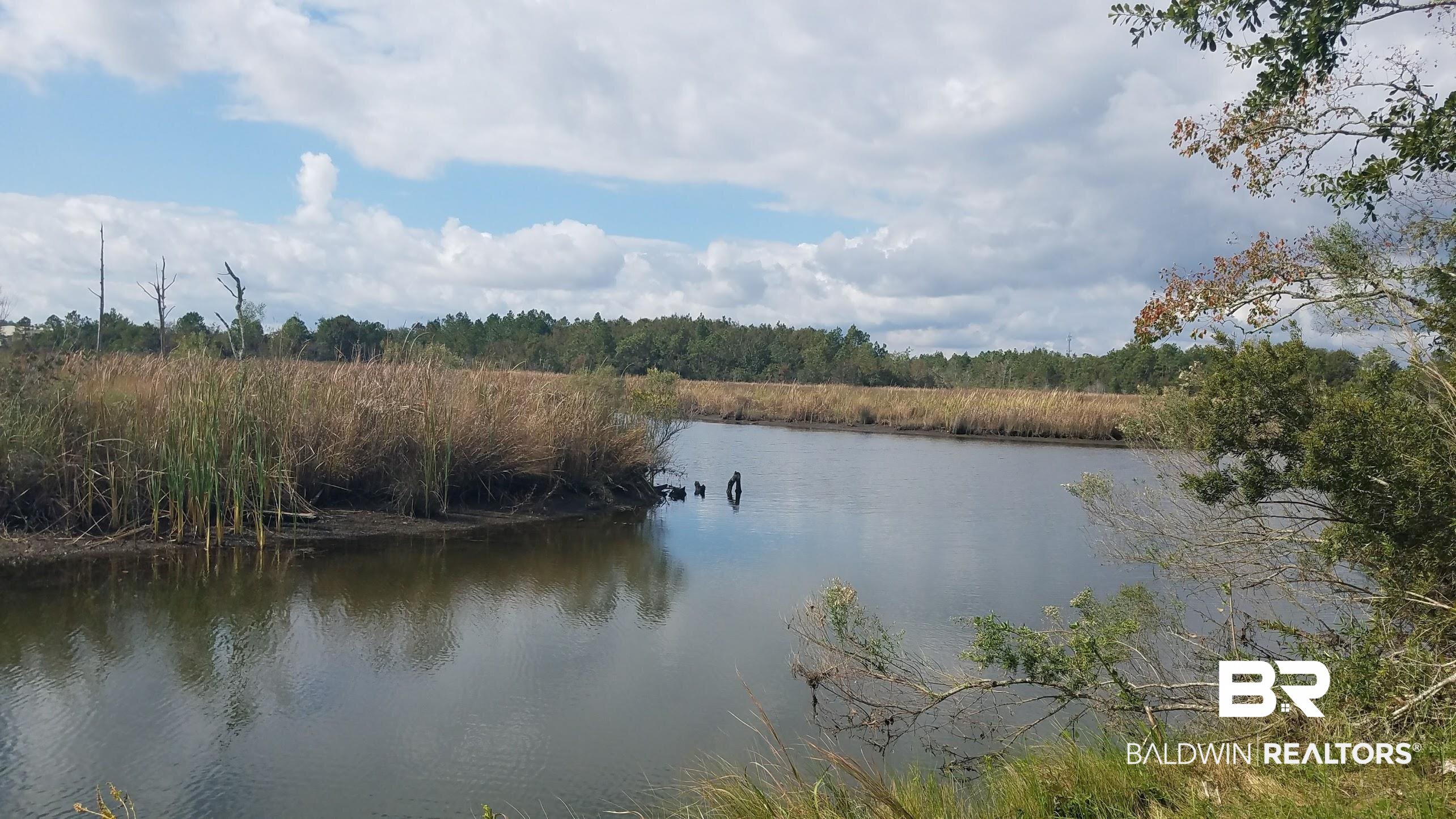 0 Riverview Nursery Road Theodore, AL 36582 - Photo 5 of 5 View of water feature