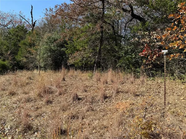 a view of a dry yard