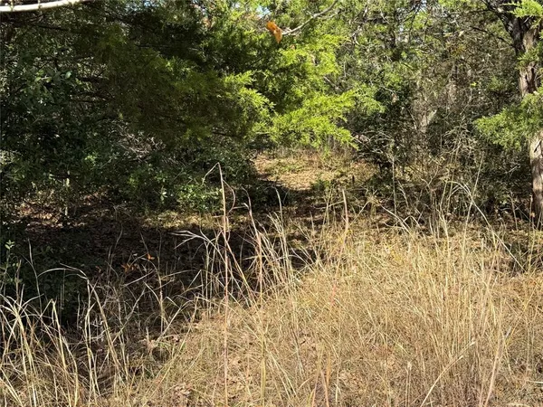 a view of a backyard of the house
