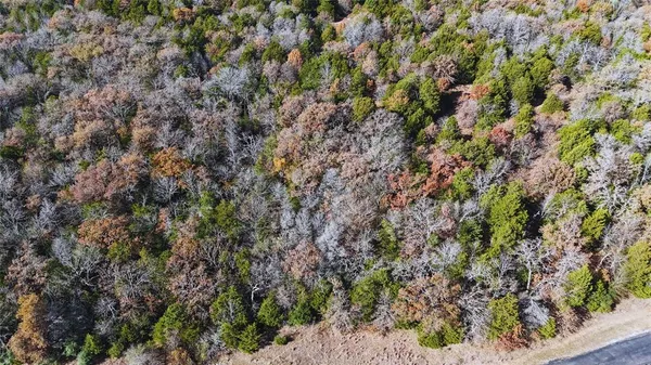 a view of a forest with a forest