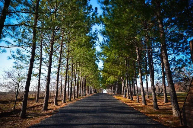 $49,900 | 131 Lincoln Drive, Streetman, TX 75859