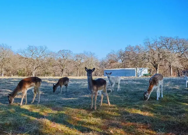$49,900 | 131 Lincoln Drive, Streetman, TX 75859