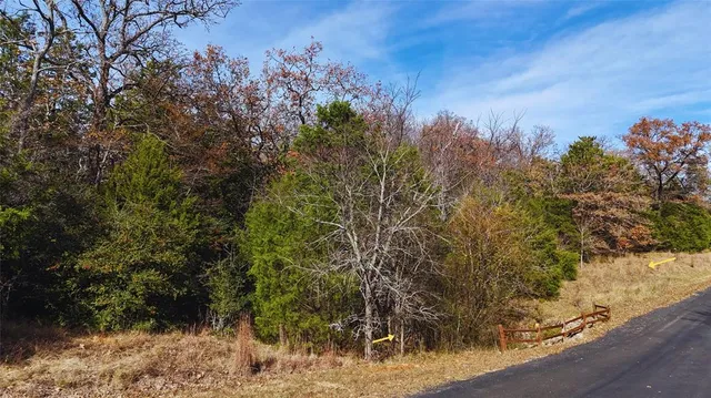 $49,900 | 131 Lincoln Drive, Streetman, TX 75859