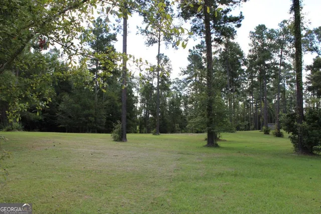 $38,500 | 0 Sturgeon Creek Road, Unit LOT 3, Fitzgerald, GA 31750