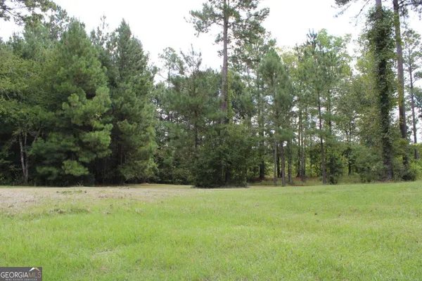 $34,500 | 0 Sturgeon Creek Road, Unit LOT 3, Fitzgerald, GA 31750