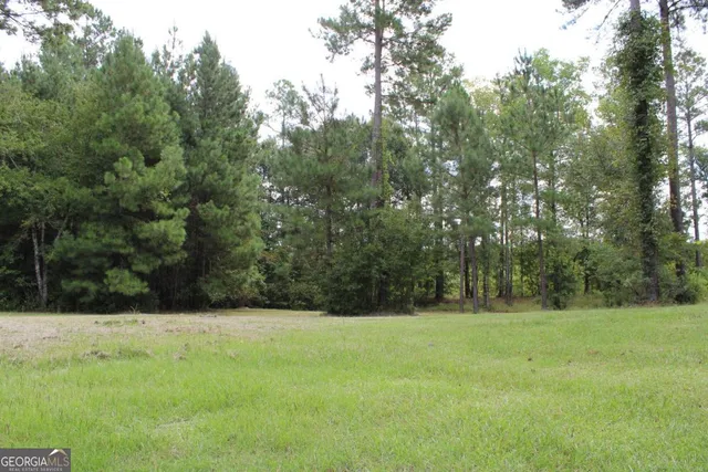 $38,500 | 0 Sturgeon Creek Road, Unit LOT 3, Fitzgerald, GA 31750