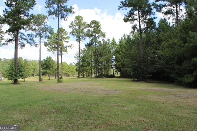 $38,500 | 0 Sturgeon Creek Road, Unit LOT 3, Fitzgerald, GA 31750