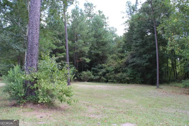 $38,500 | 0 Sturgeon Creek Road, Unit LOT 3, Fitzgerald, GA 31750